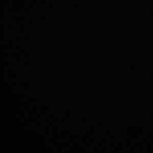 Meet your Posher, Talena